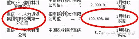 差额征税纳税申报表如何填写(以旅游业例)_北京民青会计师事务所