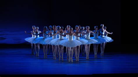 Swan Lake - Zurich Ballet & Orchestra (Ballet) | Swan Lake - Zurich ...