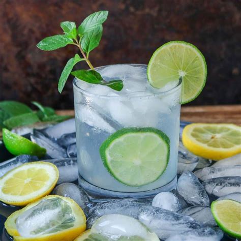 Vodka Soda (Four Simple Ingredients) | Girl Heart Food®