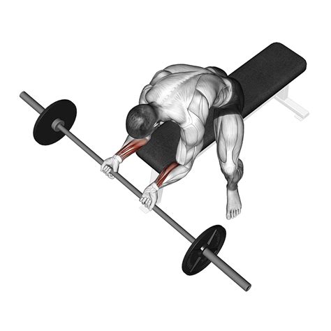 Barbell Wrist Curl: Benefits, Muscles Worked, and More - Inspire US