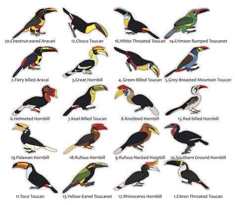 Basic types of animals and their characteristics – Artofit