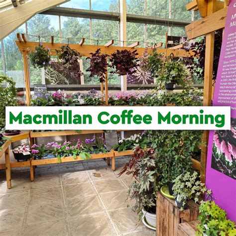 Dibleys Macmillan Coffee Morning, Dibleys Nurseries, Llangollen, 30 ...