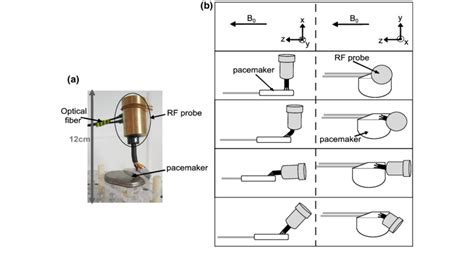 Using a RF Probe 的图像结果
