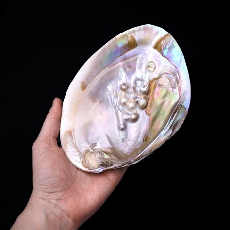Large Natural Mother of Pearl Shell Dish W Real Iridescent Blister ...