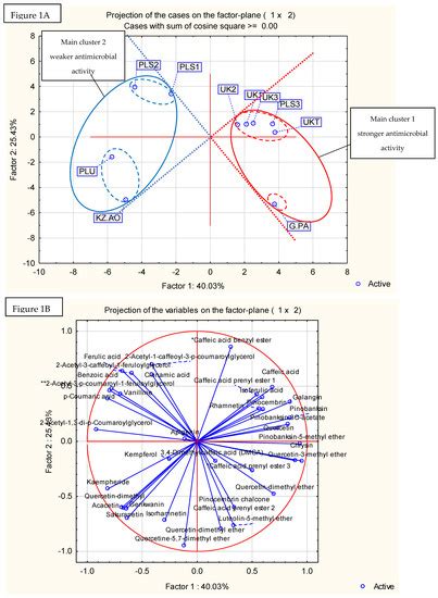 Pathogens | Special Issue : Helicobacter pylori Resistance: New Natural ...