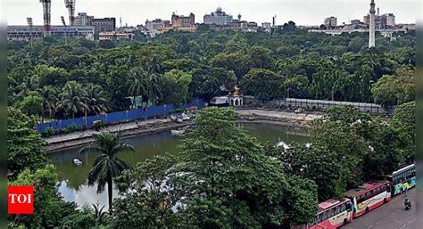 Not 800, green panel nod to shift 691 trees for Kolkata's Joka Metro ...