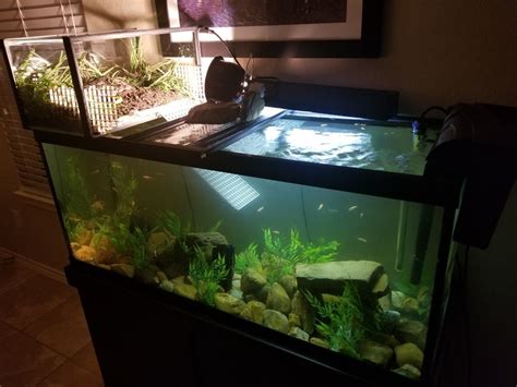 Turtle Tank Setup | Turtle tank setup, Turtle tank, Turtle