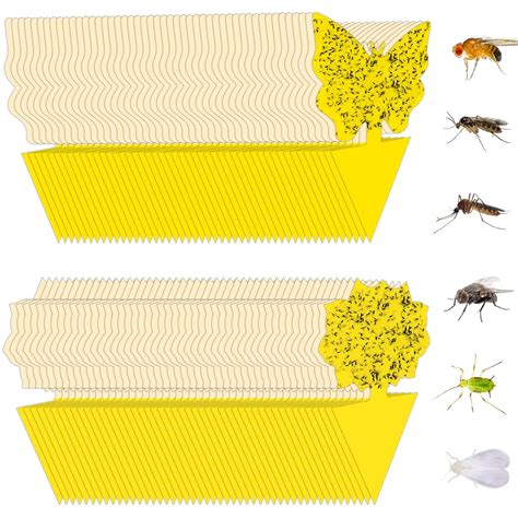 96 Pack Fruit Fly Trap for Indoors, Fungus Gnat Killer Indoor Sticky ...
