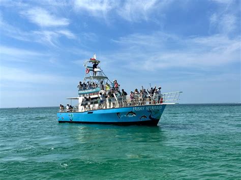 Frisky Mermaid Dolphin Cruises & Pontoon Boat Rentals in Pensacola ...