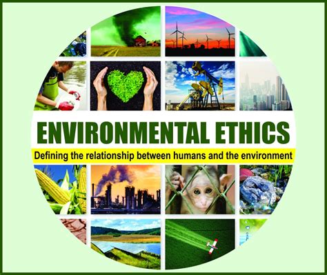 Image result for Environmental Ethics Example