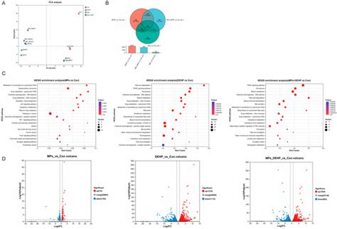 Transcriptome Sequencing and Metabolite Analysis Revealed the Single ...