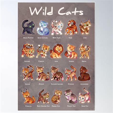 DOPAPRINT Wild Cats - Educational Poster Print For Kids Of Big And ...