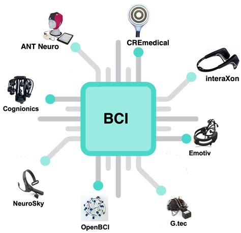 Summary of over Fifty Years with Brain-Computer Interfaces—A Review