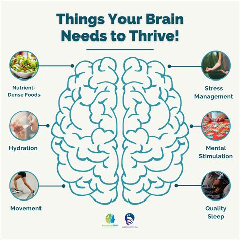 Things Your Brain Needs | Functional Mind
