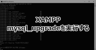 Update Xampp MySQL Version 的图像结果