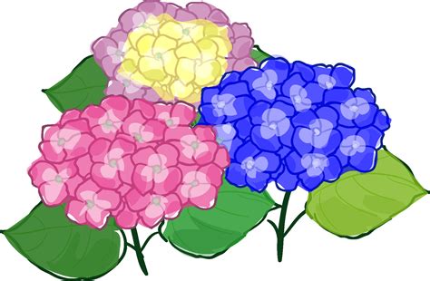 Image result for Learning Algorithms in Machine Learning Engineering