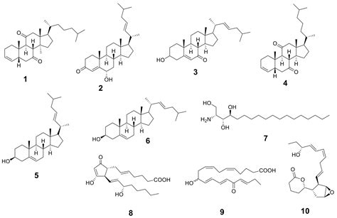 Anticancer Effects of New Ceramides Isolated from the Red Sea Red Algae ...