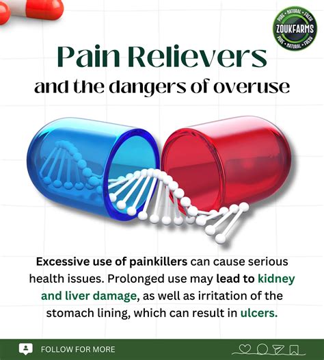 Zoukfarms | The brain, a powerhouse of over 86 billion neurons, thrives on care. Foods like ...