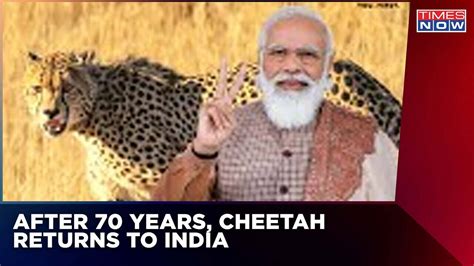 Project Cheetah | ' Glad We Got To See This Project To Its Conclusion ...