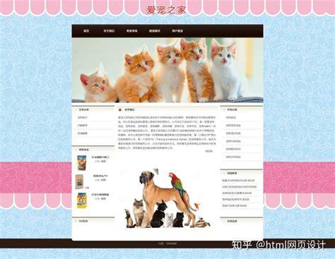 使用HTML制作静态宠物网站——蓝色版爱宠之家(HTML+CSS) - 知乎