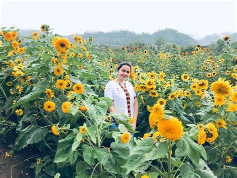Paseo De Los Girasoles (Copan Ruinas) - 2022 What to Know Before You Go ...