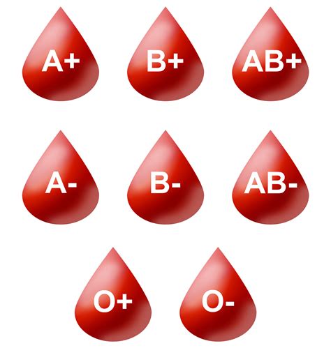Why Do We Have Different Blood Types? A Look at Evolution and ...