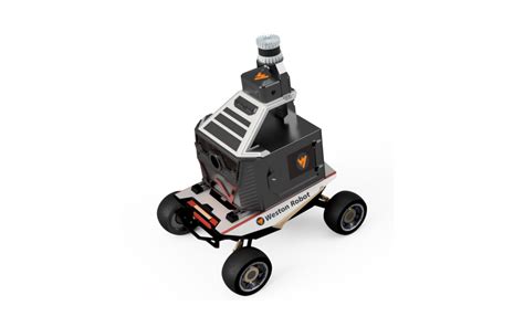 Scout Mini Robot 的图像结果