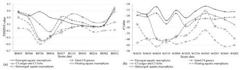 Poyang Lake Wetland Classification Using Time-Series ENVISAT ASAR Data ...