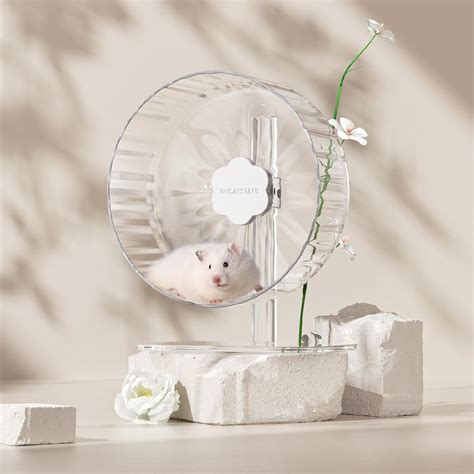 BUCATSTATE Hamster Exercise Wheel 8.2, Upgraded India | Ubuy