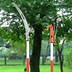 Image result for Pruning Pole saw and Lopper