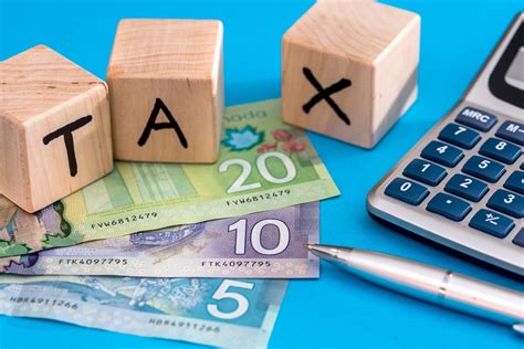 Image result for NETFILE Tax Return