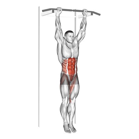 4 Effective Hanging Leg Raise Alternatives (With Pictures!) - Inspire US