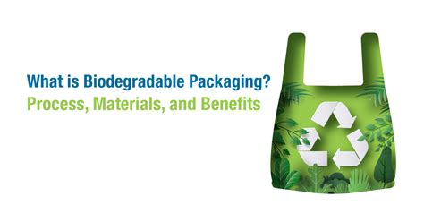 Biodegradable 的图像结果