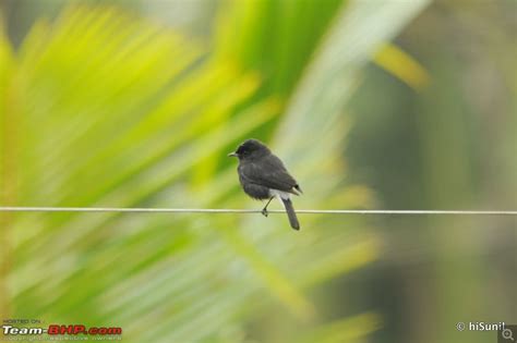 BLR-coimbatore-Topslip-Valparai-Sholayar-Thattakad-Idamalayar-Nilambur ...