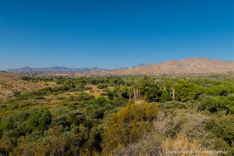 Big Morongo Canyon Preserve ~ Fall 2020 – BB Photography Studio