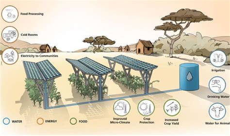 Agrivoltaics in Sub-Saharan Africa - Welthungerhilfe