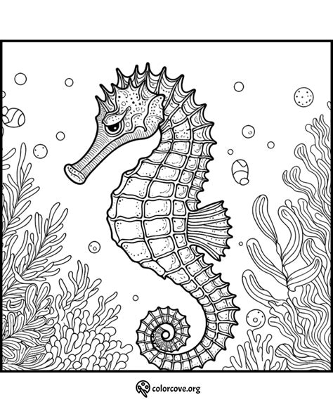 25 Free Seahorse Coloring Pages - The Color Cove