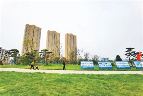 南阳市区要建10个大公园，已开工7个_澎湃号·政务_澎湃新闻-The Paper