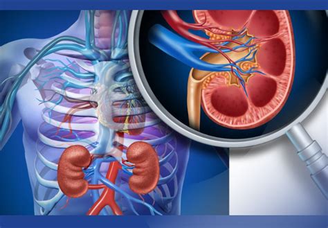 Facts You Must Know About Kidney Cancer