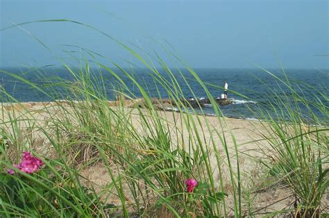 Menauhant Beach, Cape Cod, MA Free Stock Photo | FreeImages