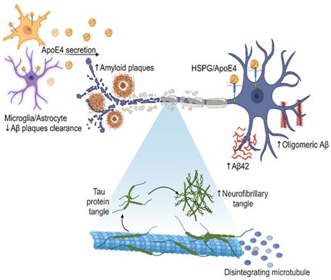 Diseases | June 2024 - Browse Articles