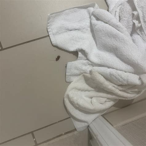 RESIDENCE INN BY MARRIOTT COLUMBIA NORTHWEST/HARBISON - Prices & Hotel ...