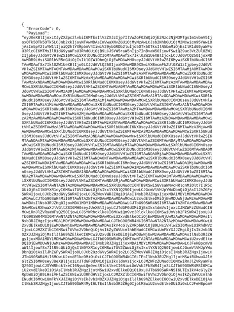 Image result for Payload VIP