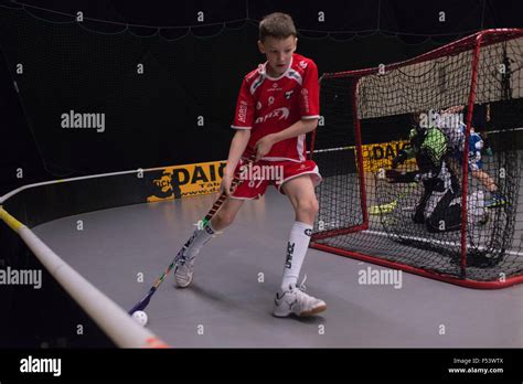 Floor Hockey 的图像结果