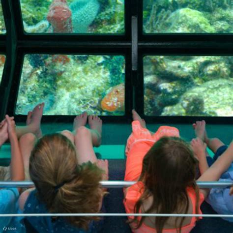 Glass Bottom Boat Key West Tour in Florida - Klook