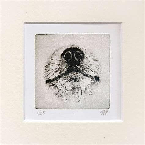 Pomeranian Portrait Dog Nose Print | Greyboy Pet Prints