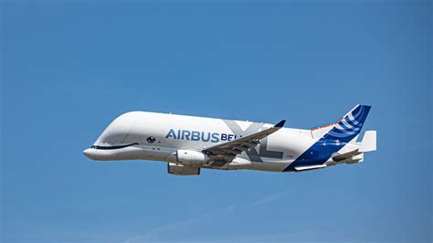 Some Interesting Facts About The Huge Whale-Shaped Airbus Beluga