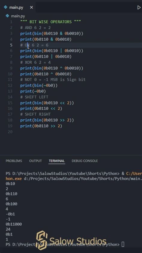 Image result for Explain Bitwise Operators in Py