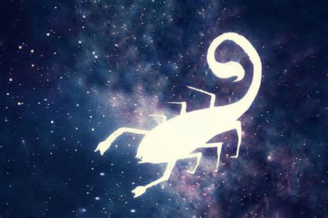 天蝎座和谁越处越旺 最旺天蝎座的是哪个星座 - 万年历