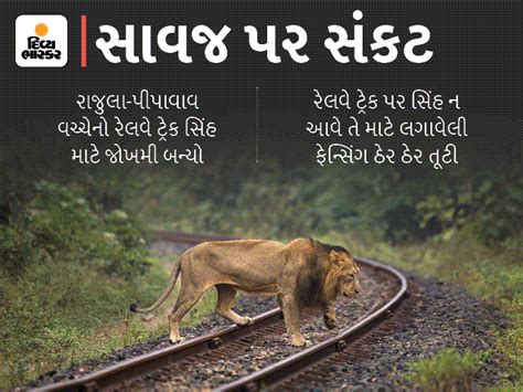 Demand for construction of elevated railway track on Rajula-Pipavav ...